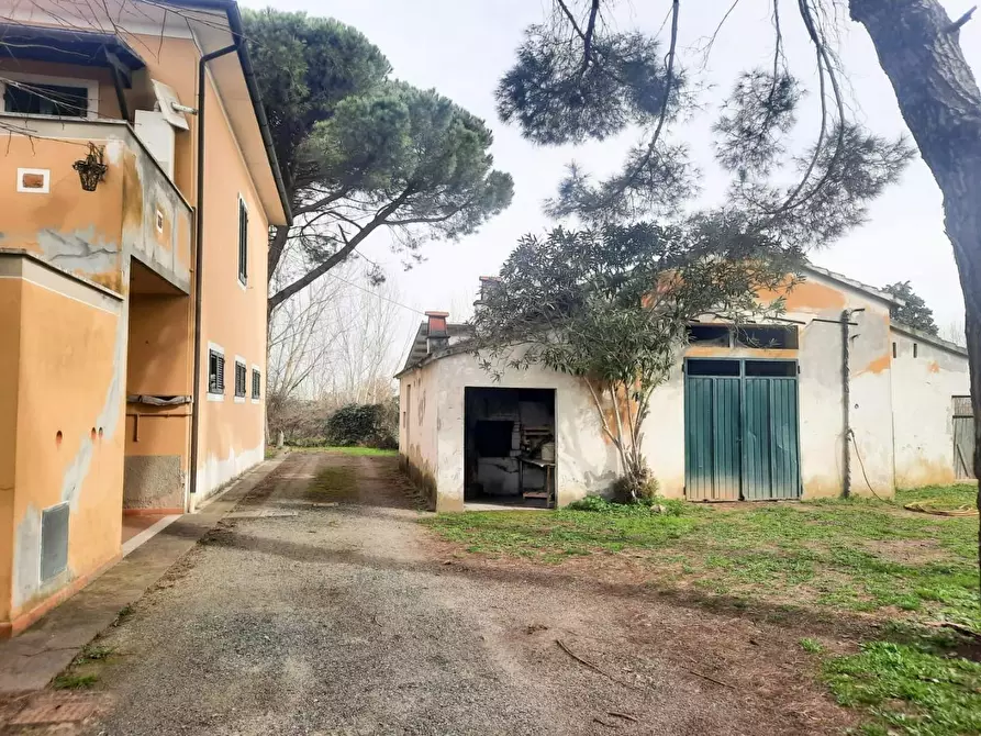 Immagine 2 di Casa indipendente in vendita  a Casciana Terme Lari