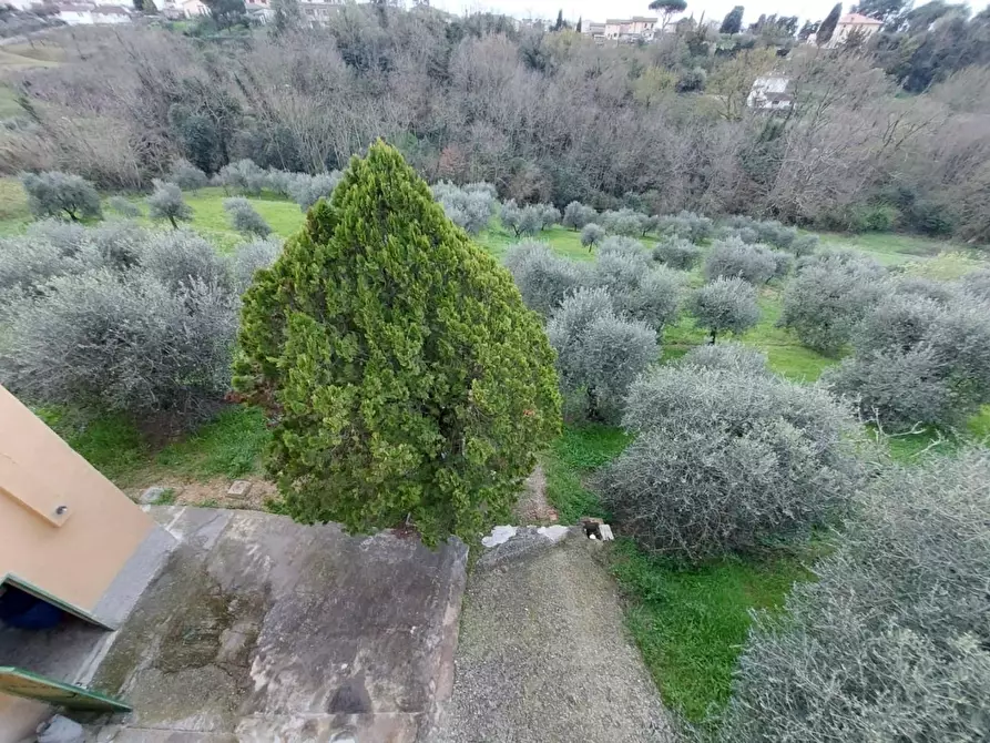 Immagine 23 di Casa indipendente in vendita  a Santa Maria A Monte