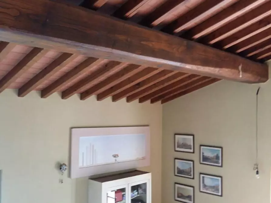 Immagine 2 di Villa in vendita  a Pietrasanta