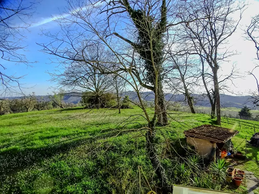 Immagine 10 di Villa in vendita  a San Miniato