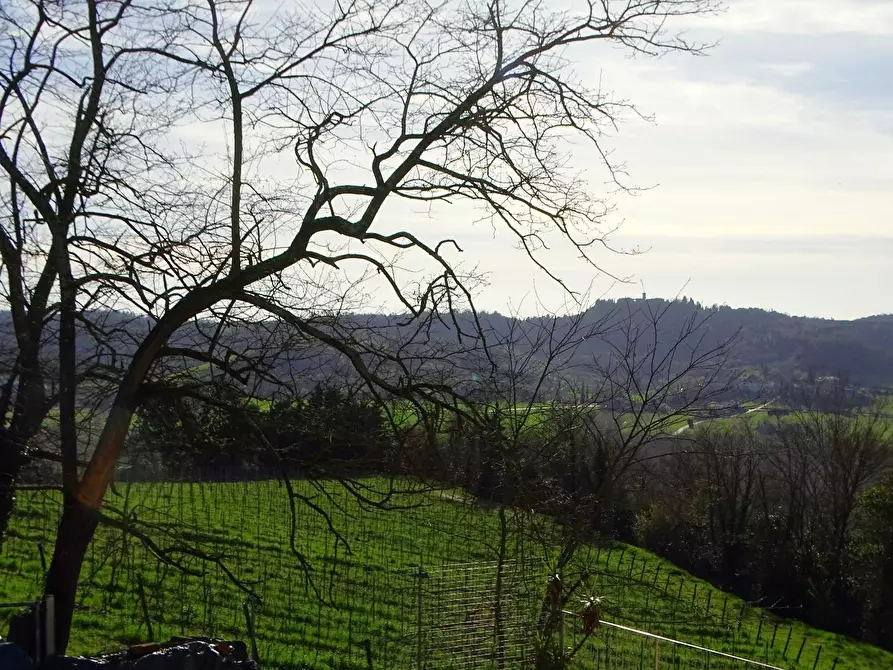 Immagine 27 di Villa in vendita  a San Miniato