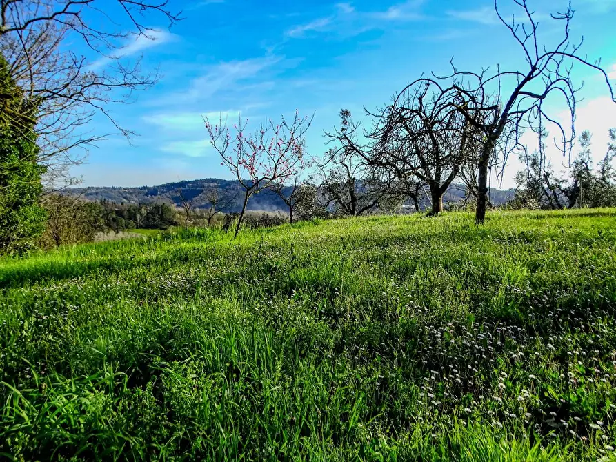 Immagine 61 di Villa in vendita  a San Miniato