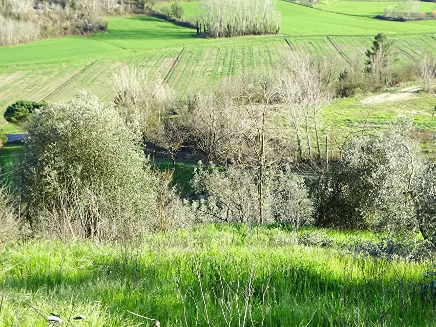 Immagine 84 di Villa in vendita  a San Miniato
