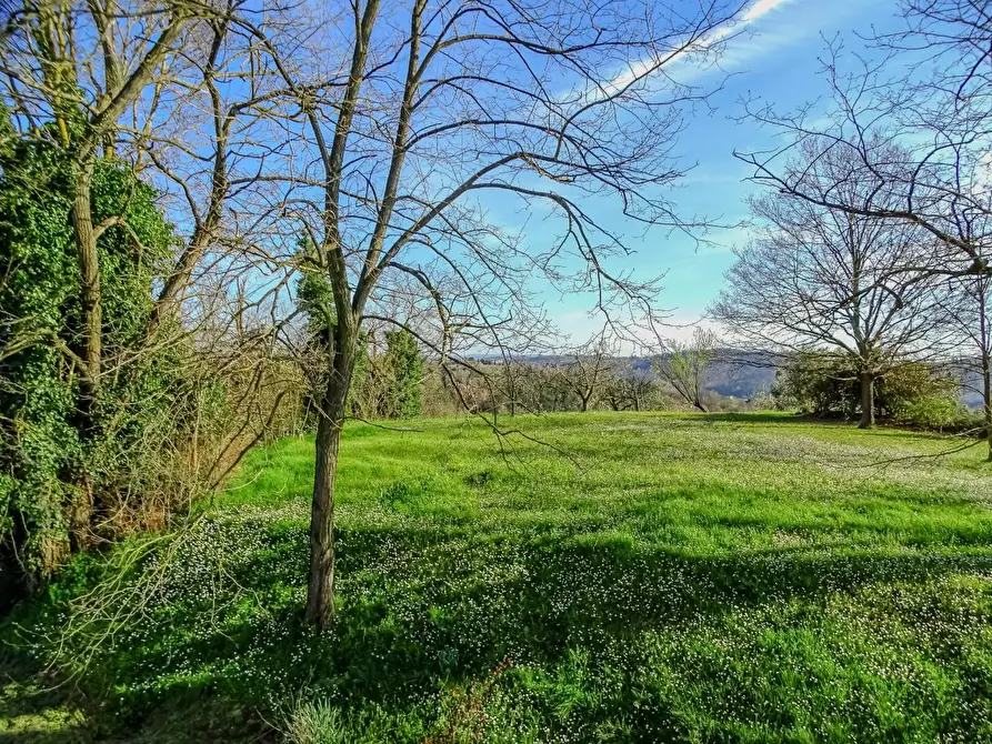 Immagine 49 di Villa in vendita  a San Miniato