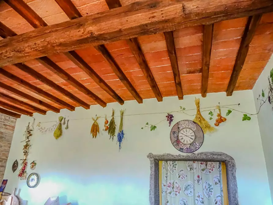 Immagine 23 di Villa in vendita  a San Miniato