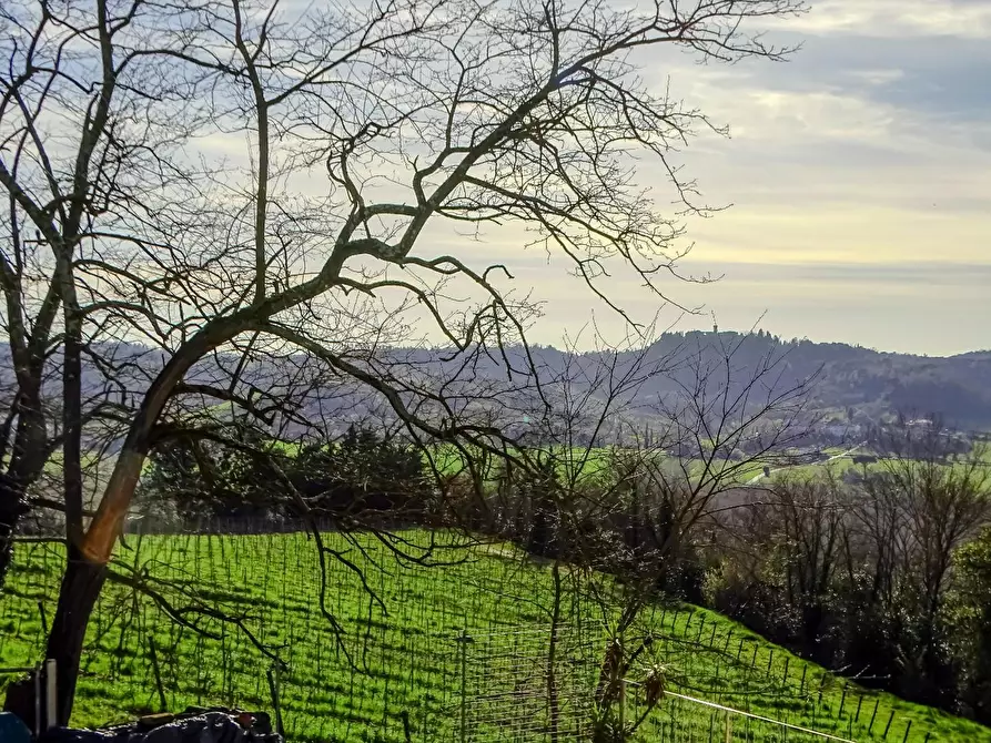 Immagine 50 di Villa in vendita  a San Miniato