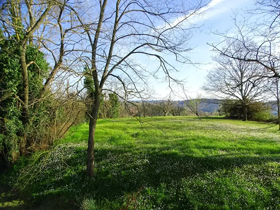 Immagine 60 di Villa in vendita  a San Miniato