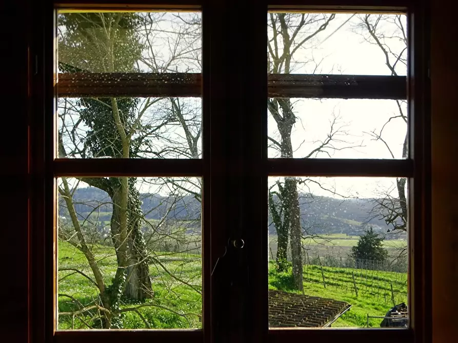 Immagine 58 di Villa in vendita  a San Miniato