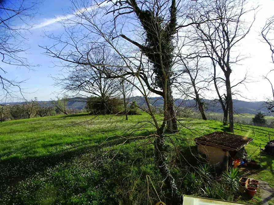 Immagine 61 di Villa in vendita  a San Miniato