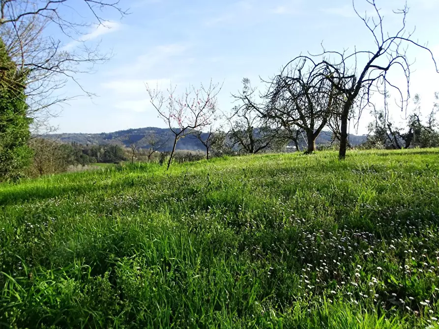 Immagine 83 di Villa in vendita  a San Miniato
