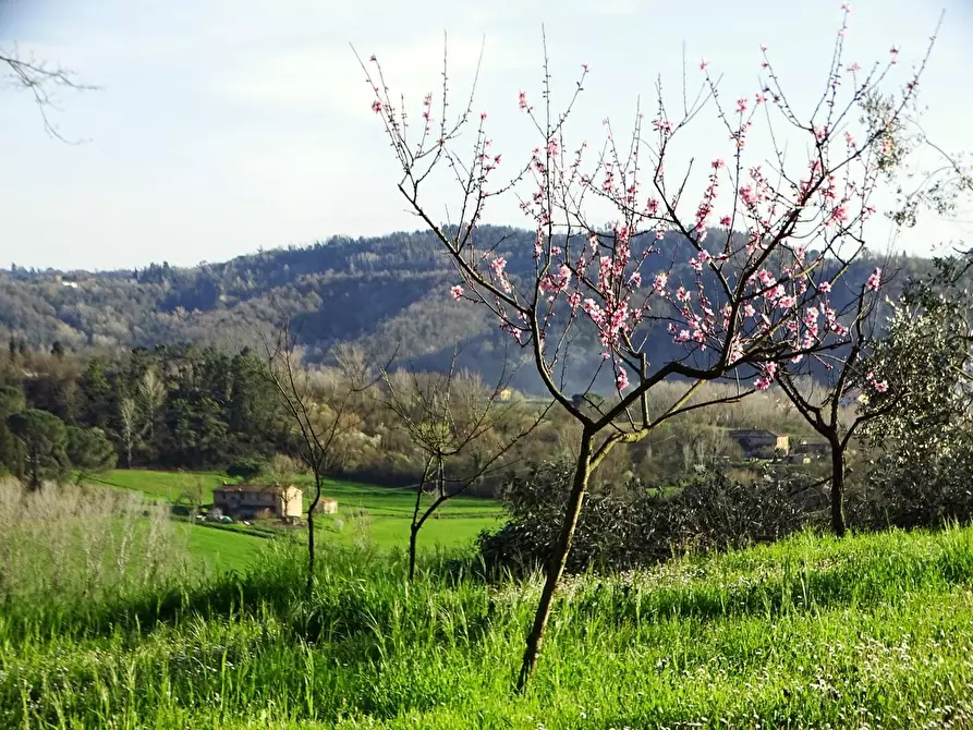 Immagine 5 di Villa in vendita  a San Miniato
