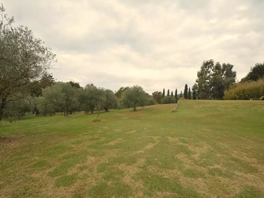 Immagine 45 di Villa in vendita  a Lucca