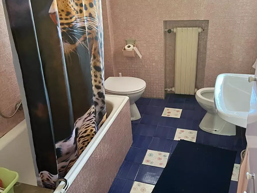 Immagine 19 di Appartamento in vendita  a Carrara