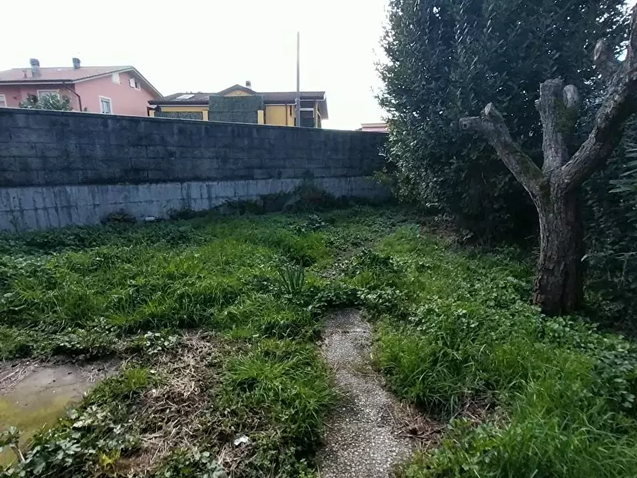 Immagine 24 di Appartamento in vendita  a Ameglia