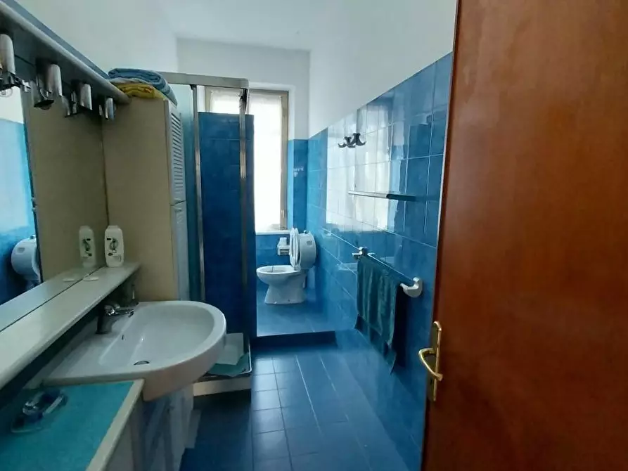 Immagine 21 di Appartamento in vendita  a Ameglia