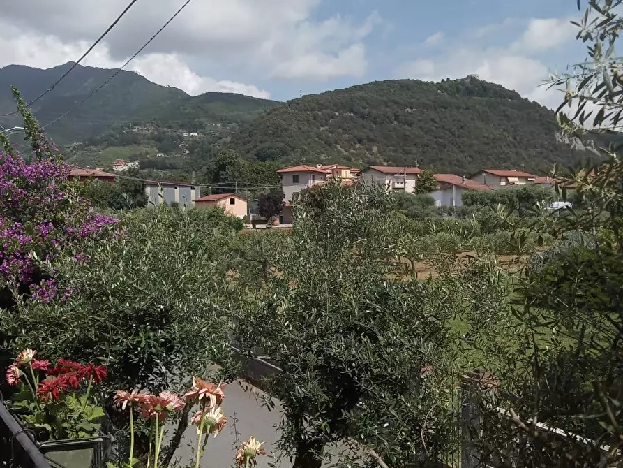 Immagine 27 di Casa bifamiliare in vendita  a Montignoso