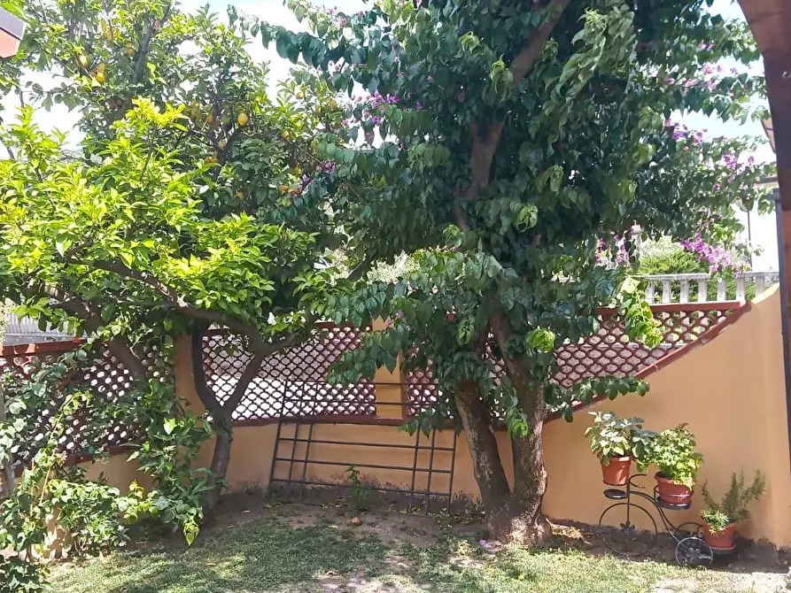 Immagine 6 di Casa bifamiliare in vendita  a Montignoso