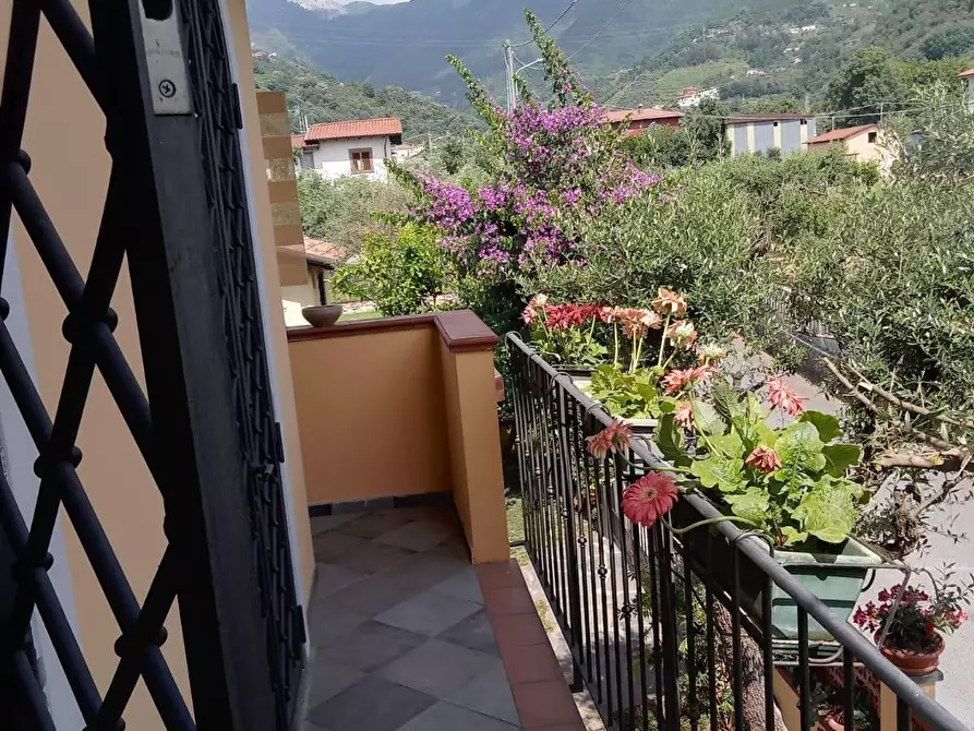 Immagine 26 di Casa bifamiliare in vendita  a Montignoso