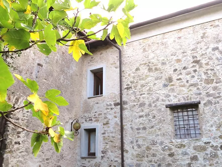 Immagine 37 di Casa colonica in vendita  a Tresana