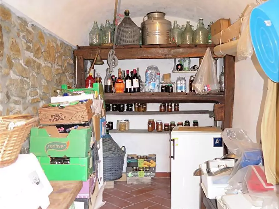 Immagine 60 di Casa colonica in vendita  a Tresana