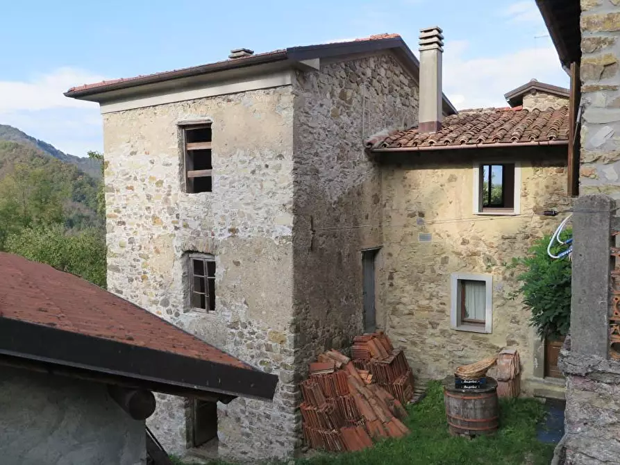 Immagine 38 di Casa colonica in vendita  a Tresana