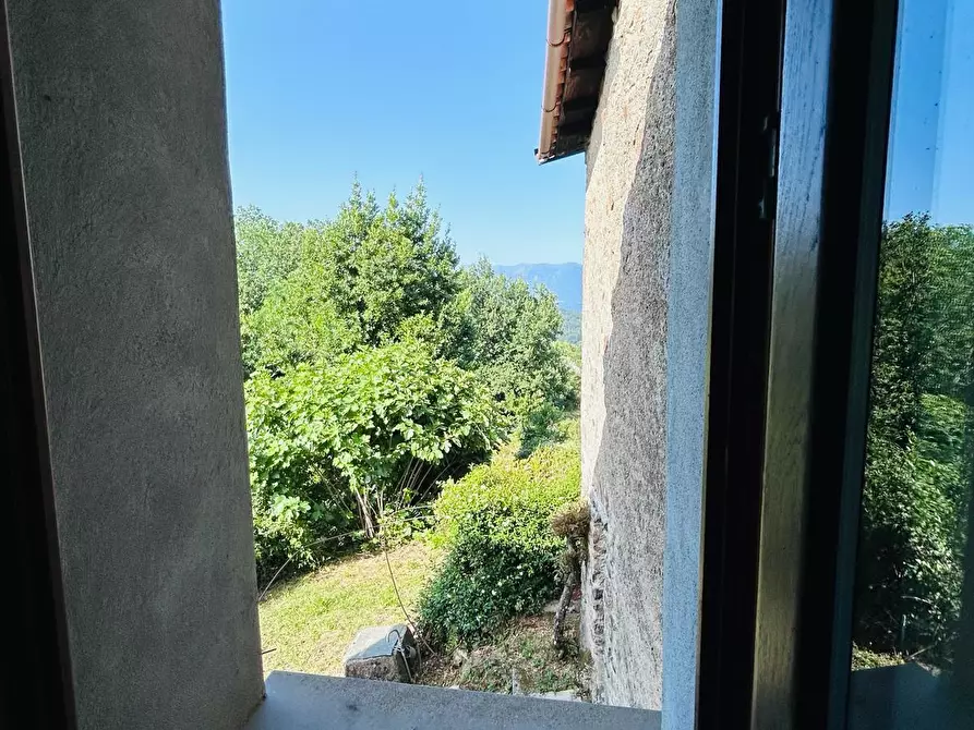 Immagine 24 di Casa colonica in vendita  a Tresana