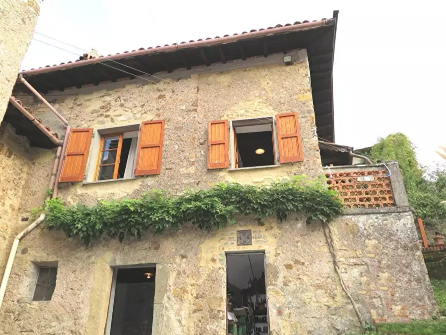 Immagine 34 di Casa colonica in vendita  a Tresana