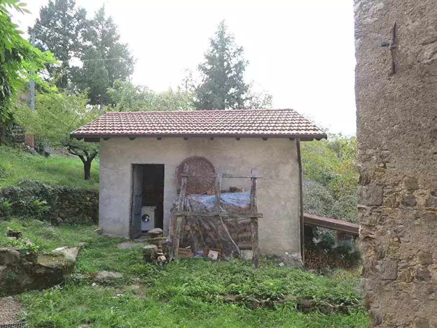 Immagine 61 di Casa colonica in vendita  a Tresana