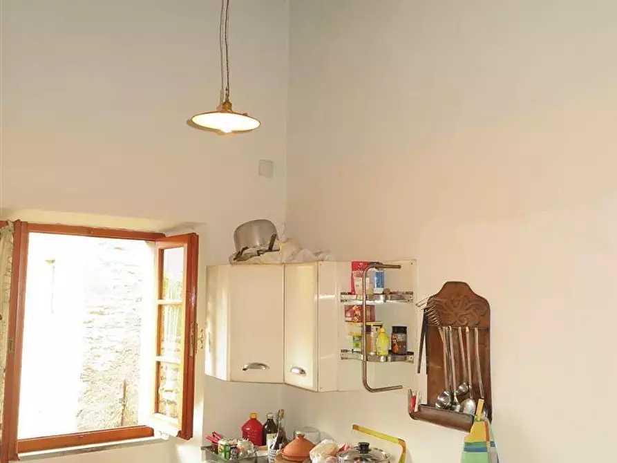 Immagine 47 di Casa colonica in vendita  a Tresana