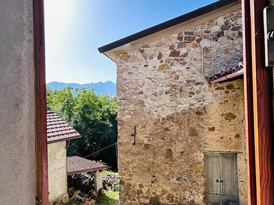 Immagine 28 di Casa colonica in vendita  a Tresana