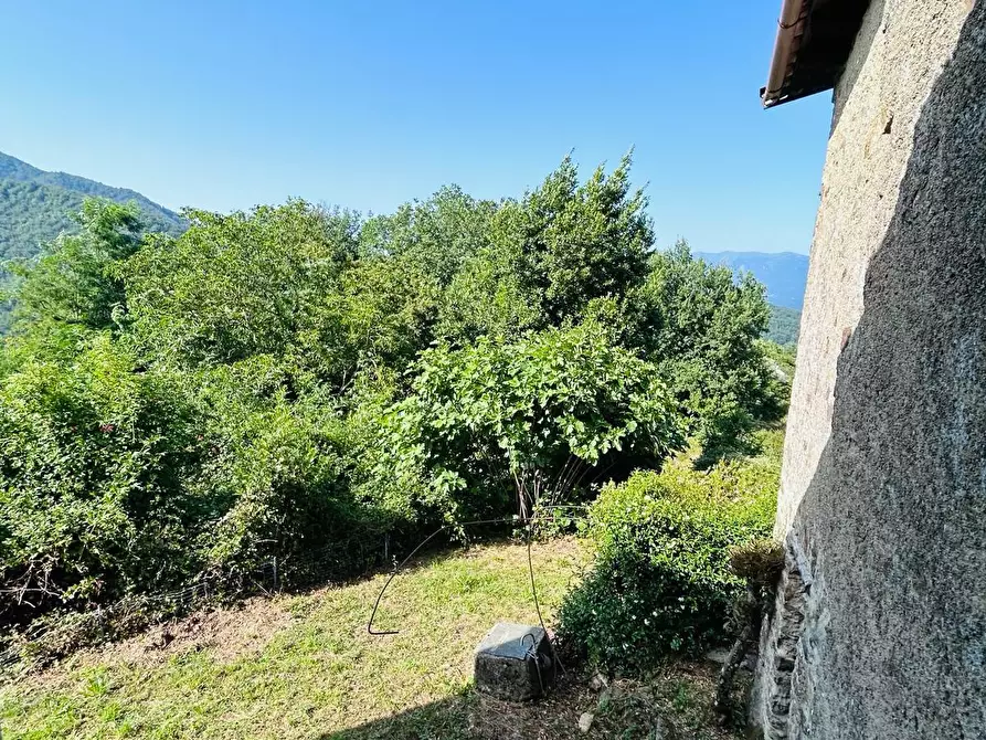 Immagine 25 di Casa colonica in vendita  a Tresana