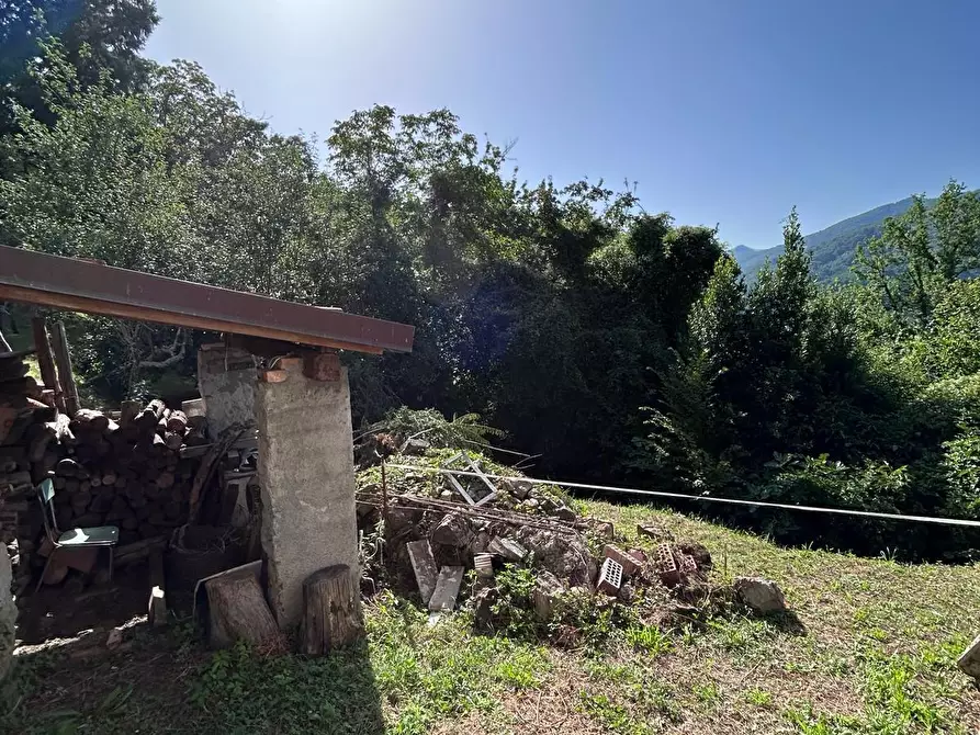 Immagine 31 di Casa colonica in vendita  a Tresana