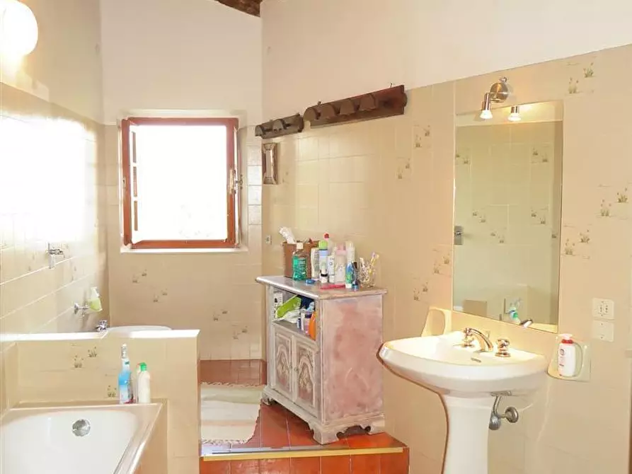 Immagine 54 di Casa colonica in vendita  a Tresana