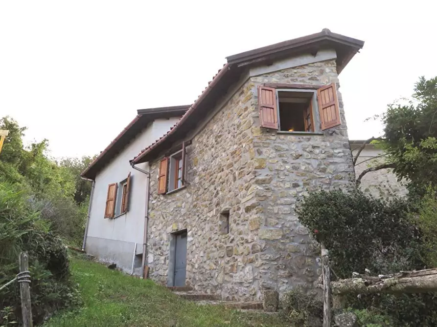 Immagine 35 di Casa colonica in vendita  a Tresana