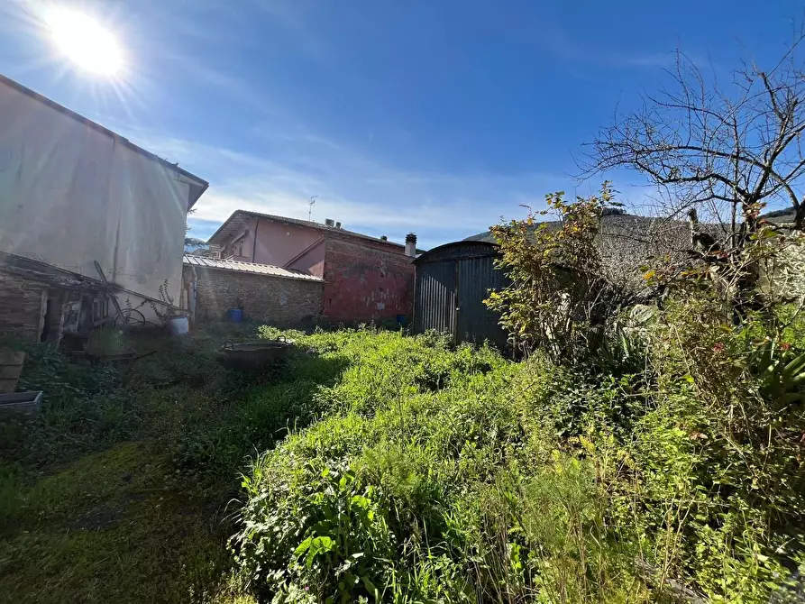 Immagine 21 di Terratetto in vendita  a Buti