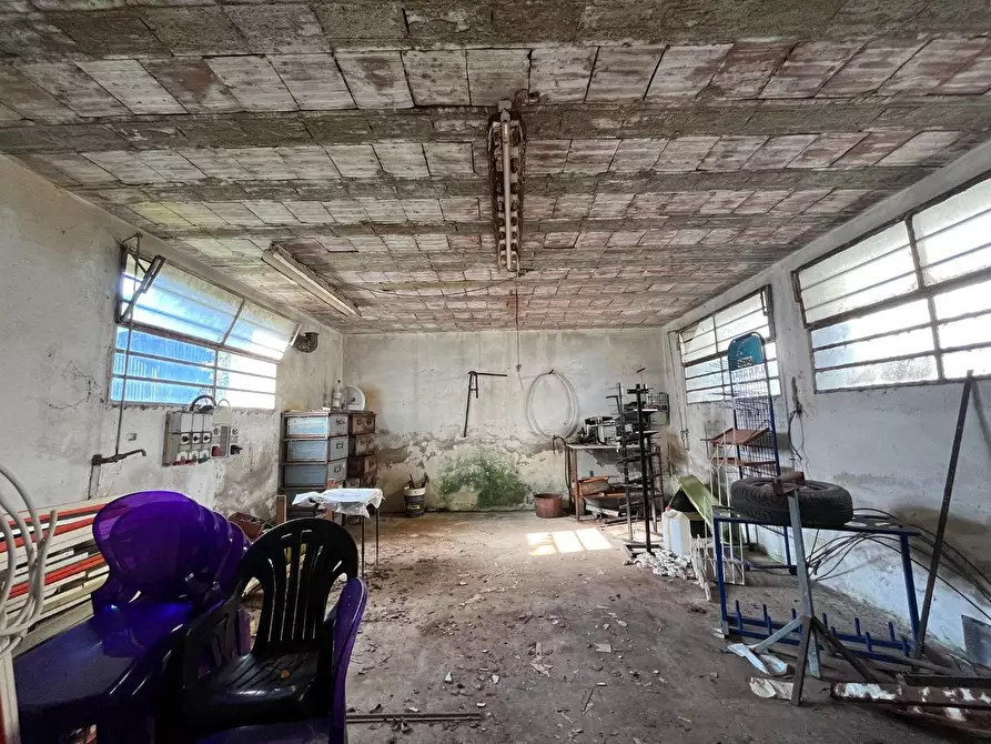 Immagine 19 di Terratetto in vendita  a Buti