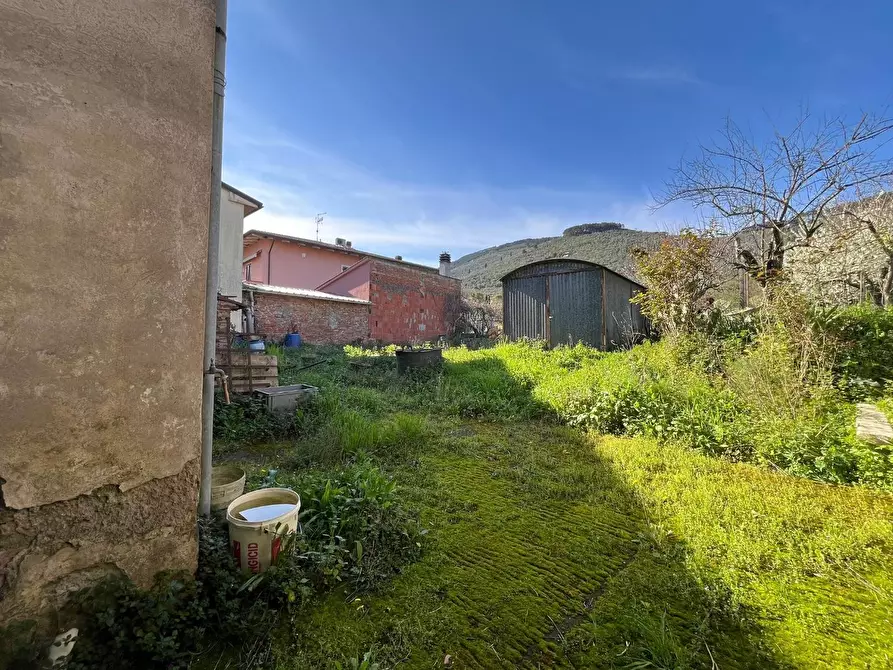 Immagine 20 di Terratetto in vendita  a Buti