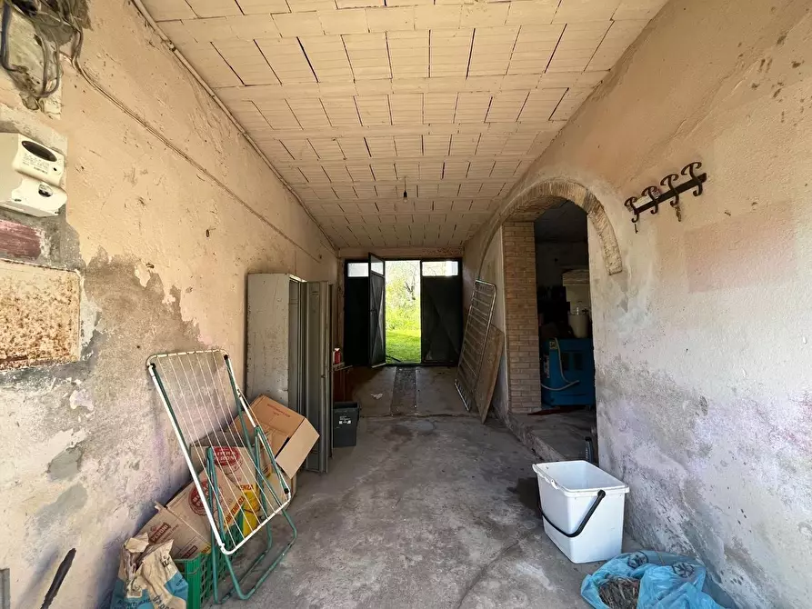 Immagine 18 di Terratetto in vendita  a Buti