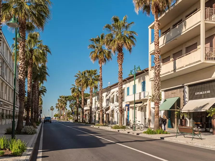 Immagine 22 di Villa in vendita  a Forte Dei Marmi