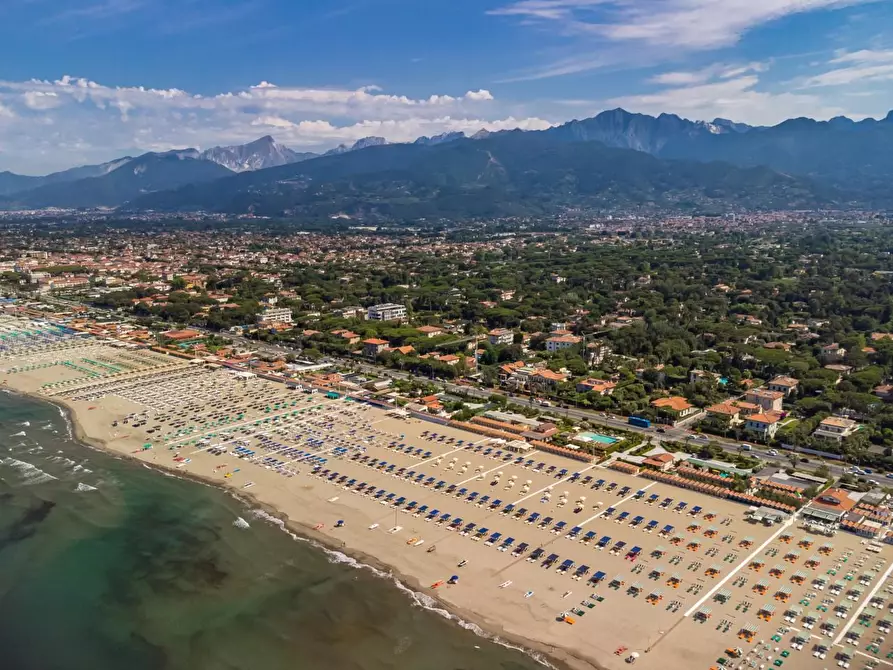 Immagine 6 di Villa in vendita  a Forte Dei Marmi