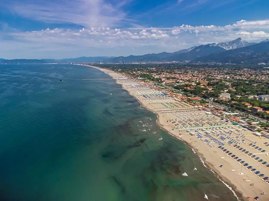 Immagine 7 di Villa in vendita  a Forte Dei Marmi