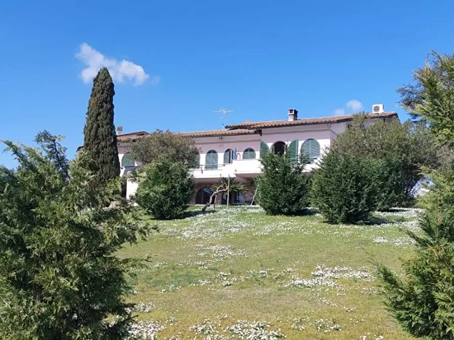 Immagine 8 di Villa in vendita  a Cerreto Guidi
