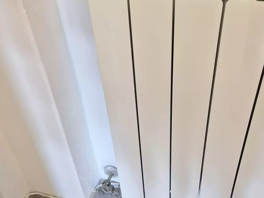 Immagine 21 di Appartamento in vendita  a Viareggio