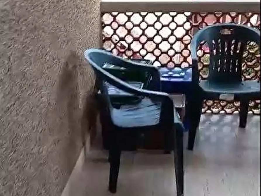 Immagine 3 di Porzione di casa in vendita  a Massa