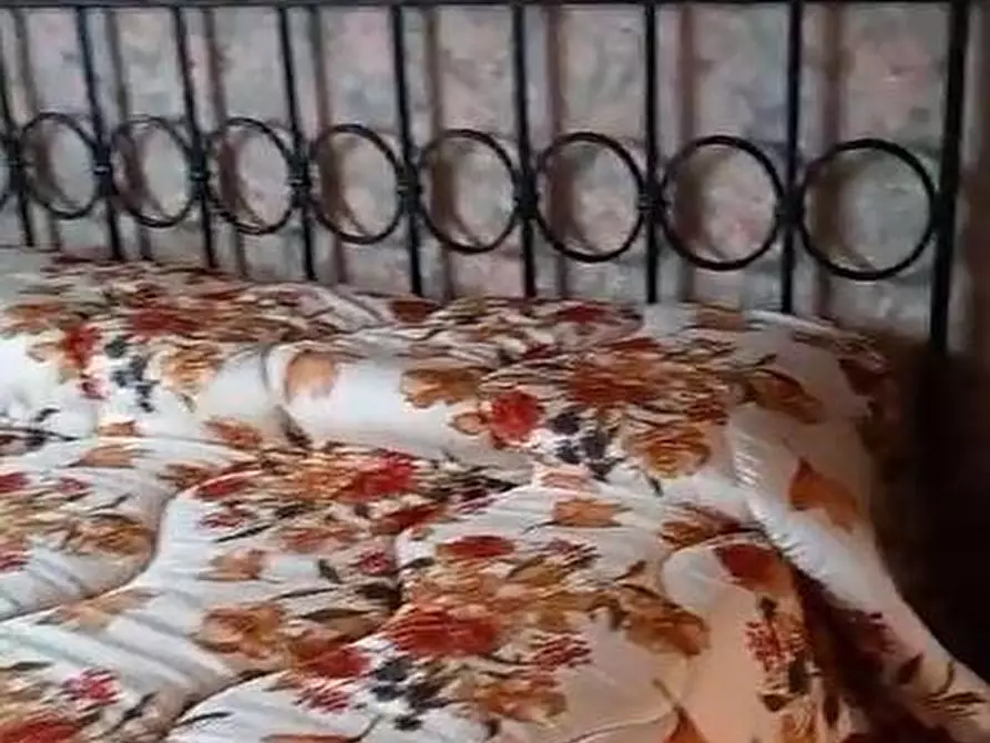 Immagine 21 di Porzione di casa in vendita  a Massa