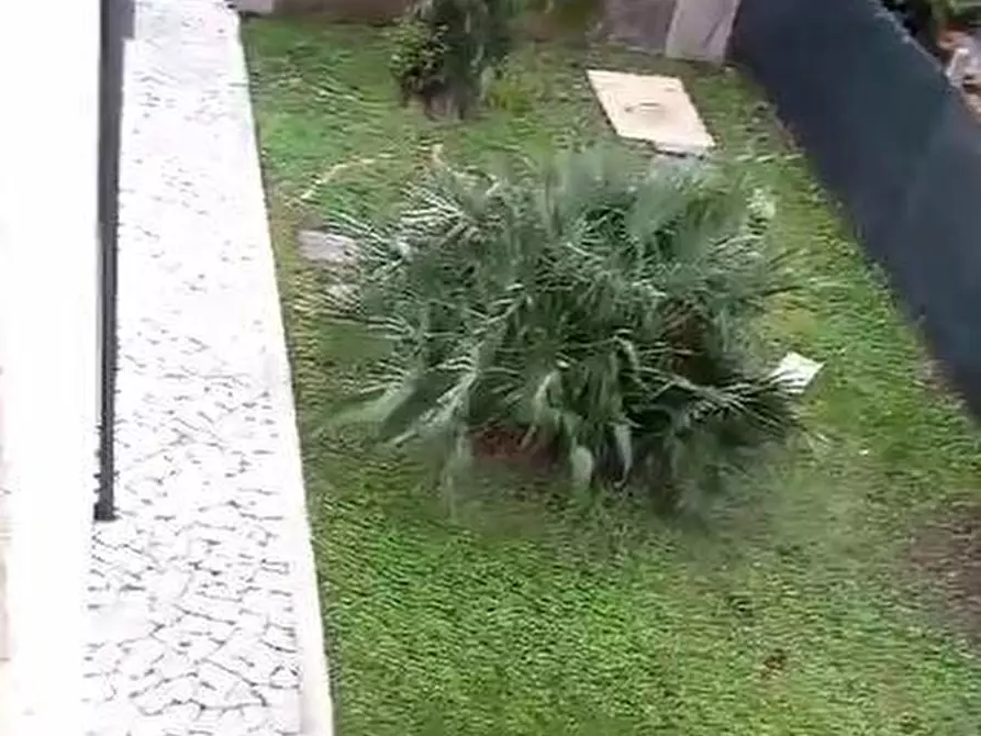 Immagine 41 di Porzione di casa in vendita  a Massa