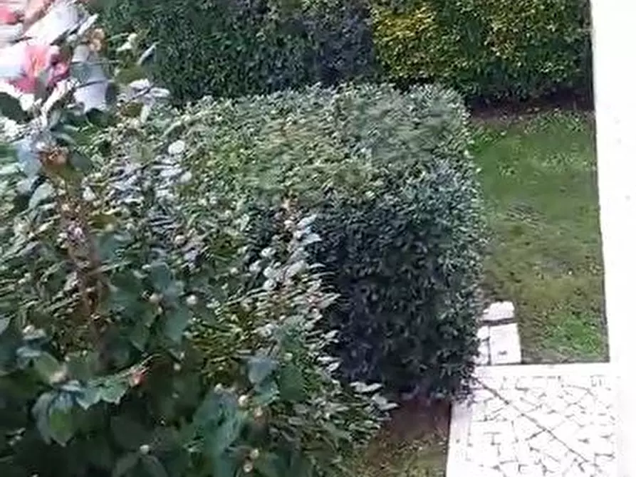 Immagine 42 di Porzione di casa in vendita  a Massa