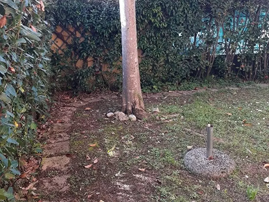 Immagine 7 di Appartamento in vendita  a Massa