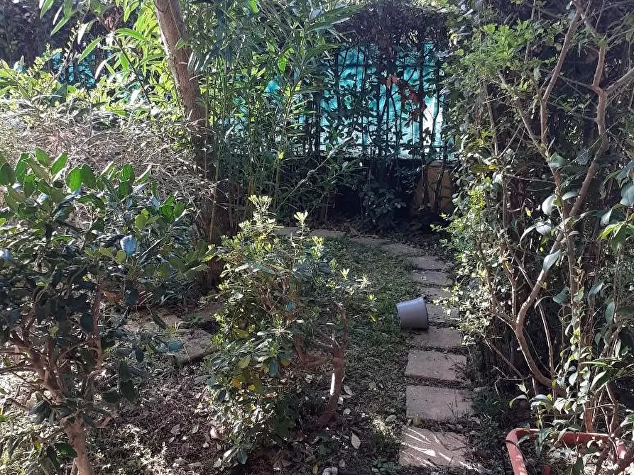 Immagine 18 di Appartamento in vendita  a Massa