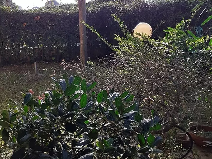 Immagine 4 di Appartamento in vendita  a Massa